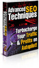 Thumbnail Advanced SEO Techniques (PLR) Thumbnail Advanced SEO Techniques (PLR)