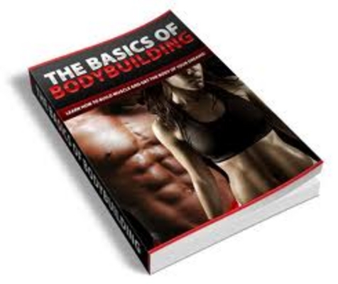 Product picture Basics Of Body Building (PLR)