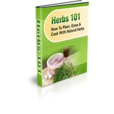 Product picture Natural Herbs Ebook With PLR