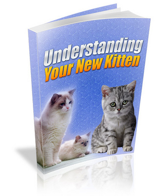 Product picture Understanding Your New Kitten